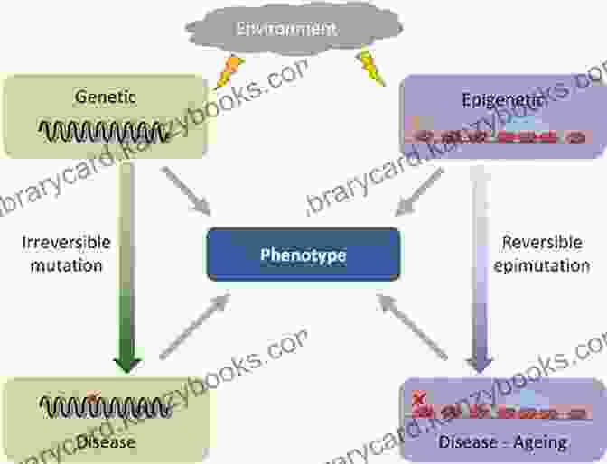 A Diagram Illustrating The Factors Contributing To Addiction Development, Including Genetics, Environment, And Individual Experiences Addiction And Change Second Edition: How Addictions Develop And Addicted People Recover