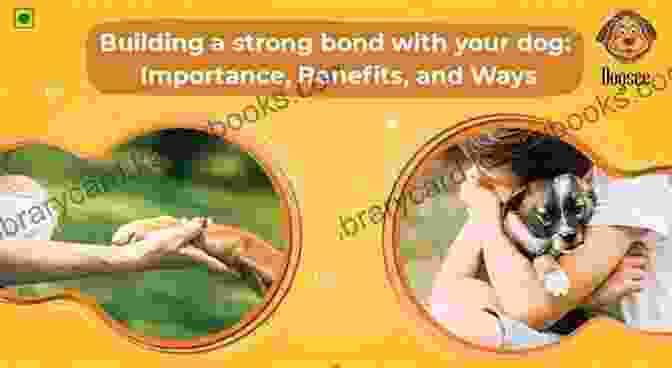 A Stronger Bond With Your Dog Barnyard Buddies (Good Dog 7)