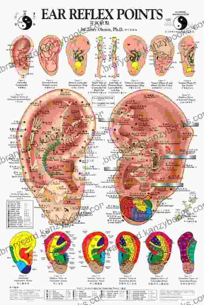 Acupuncture Points Chart Showing Locations And Benefits Of Specific Points Cultivating Your Microbiome: Ayurvedic And Chinese Practices For A Healthy Gut And A Clear Mind