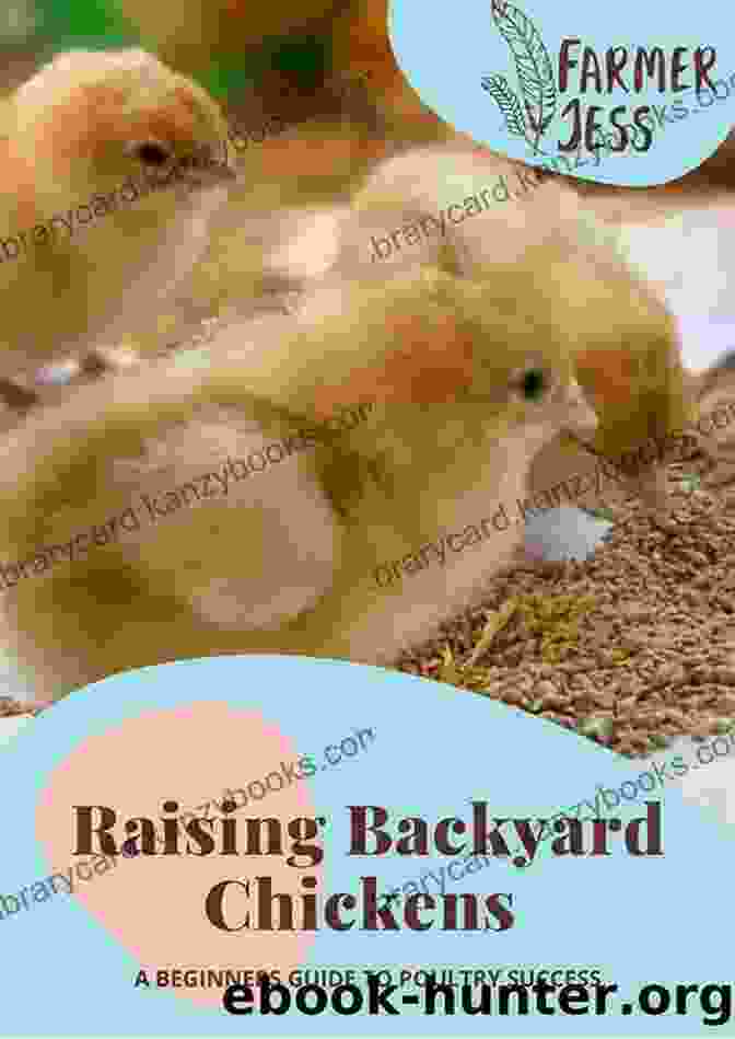 Beginners Guide To Backyard Poultry Farm Book Cover A Beginners Guide To A Backyard Poultry Farm