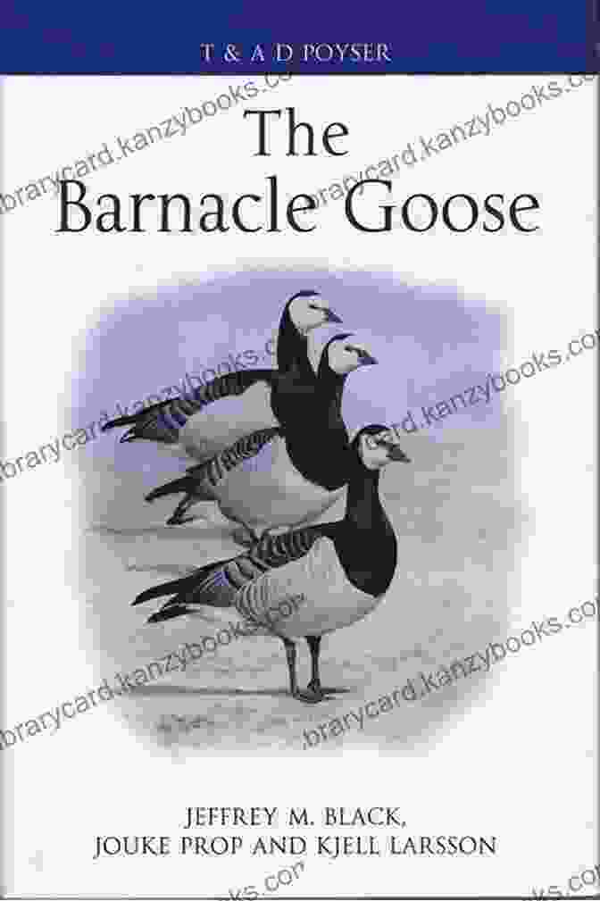 Book Cover Of 'The Barnacle Goose' By Breno Lerner, A Captivating Account Of His Extraordinary Journey The Barnacle Goose Breno Lerner