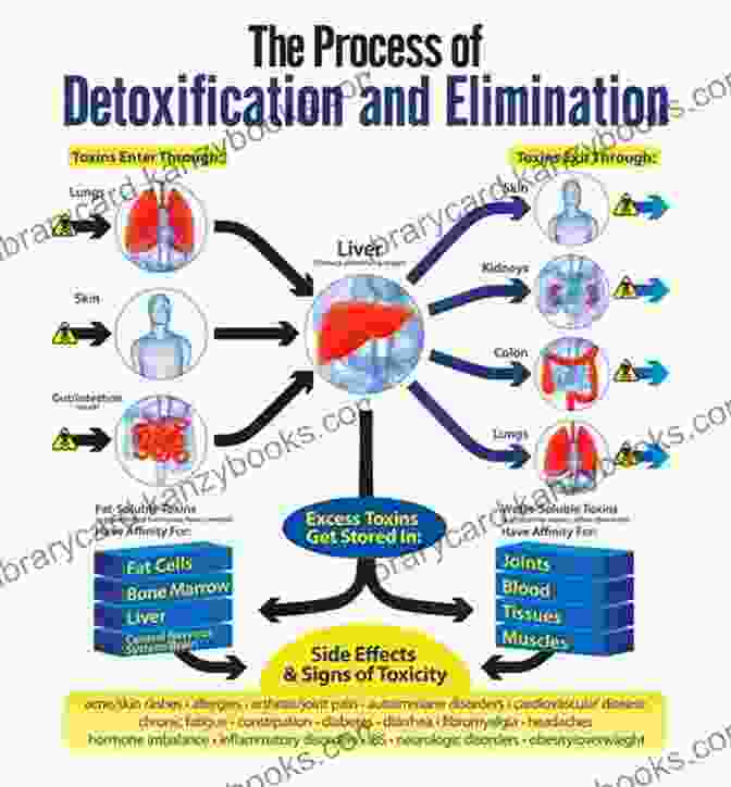 Detoxification Process The Detox Strategy: Vibrant Health In 5 Easy Steps