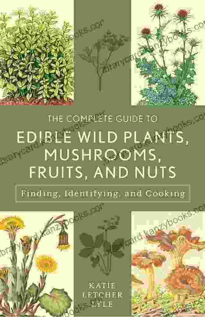 Field Guide To Edible Wild Plants Cover Image With Vibrant Photographs Of Edible Plants Field Guide To Edible Wild Plants