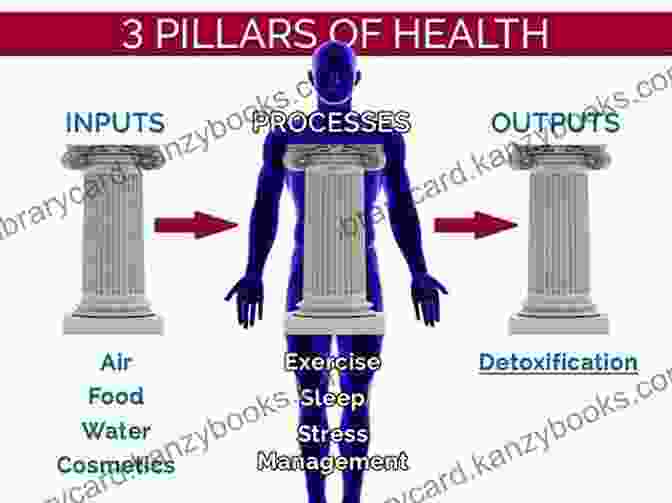 Four Pillars Of Detoxification The Detox Strategy: Vibrant Health In 5 Easy Steps