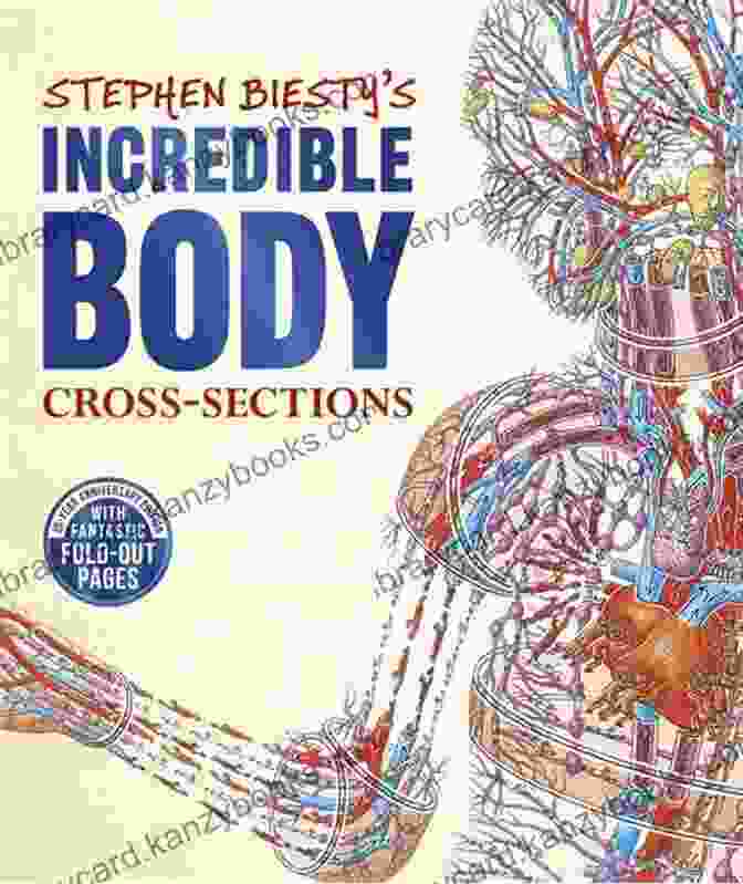 Stephen Biesty Incredible Body Cross Sections Book Cover Stephen Biesty S Incredible Body Cross Sections (Stephen Biesty Cross Sections)