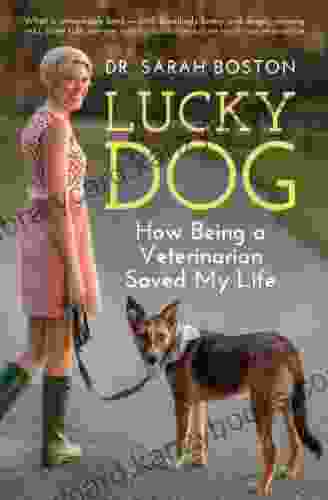 Lucky Dog: How Being A Veterinarian Saved My Life