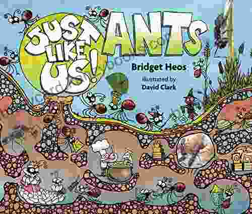 Just Like Us Ants Bridget Heos