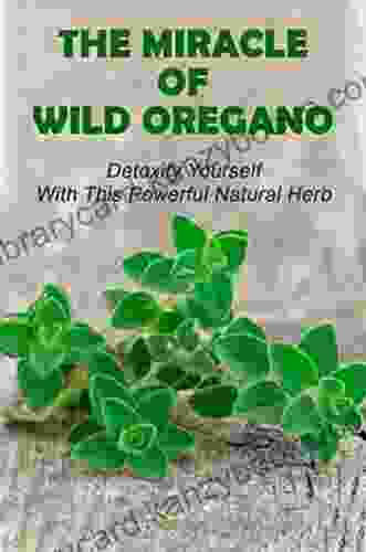 The Miracle Of Wild Oregano: Detoxify Yourself With This Powerful Natural Herb