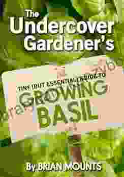 The Undercover Gardener S Tiny (But Essential) Guide To Growing Basil